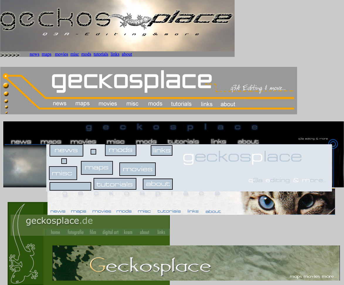 16 Jahre geckosplace.de - Die Geschichte einer Website